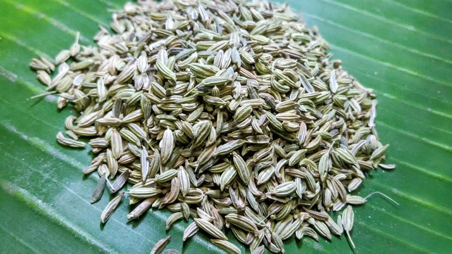 Анис обыкновенный