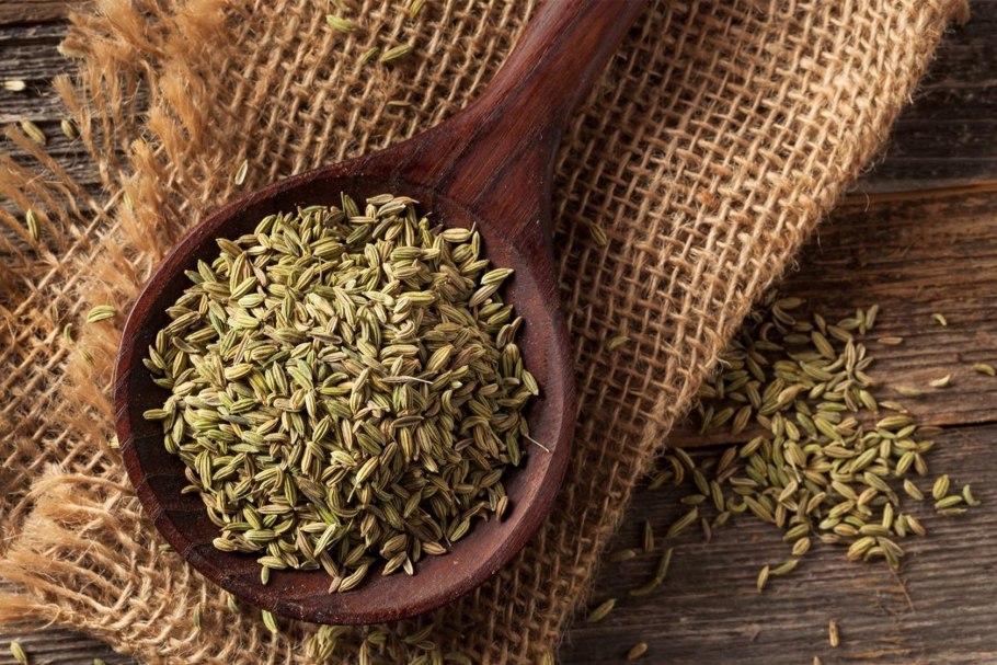 Плоды Пастернака посевного ГФ