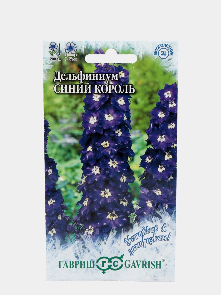 Однолетний дельфиниум шпорник