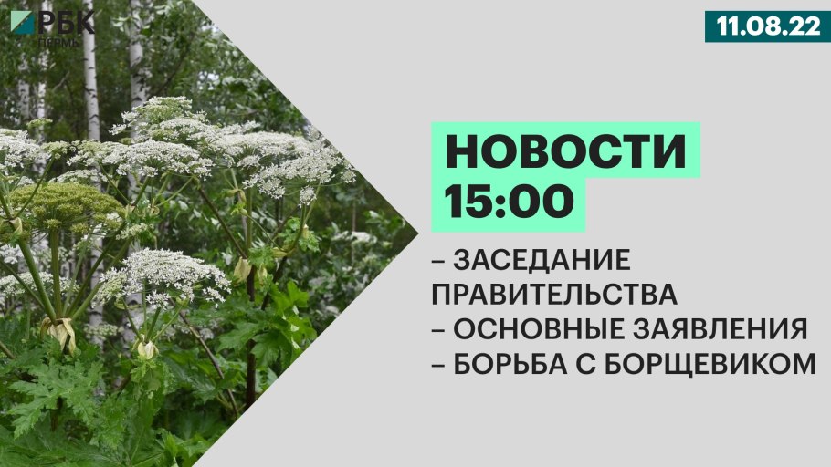 Борщевик Сосновского