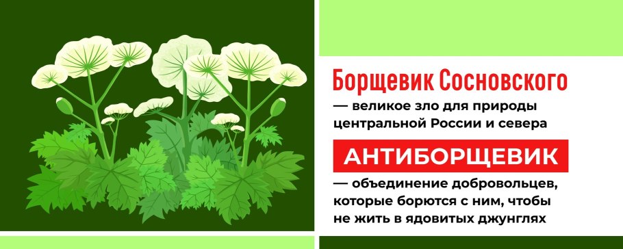 Жабрица порезниковая