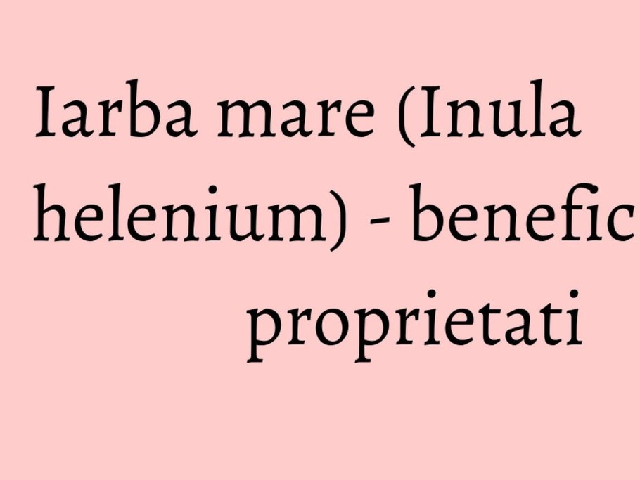 Девясил высокий