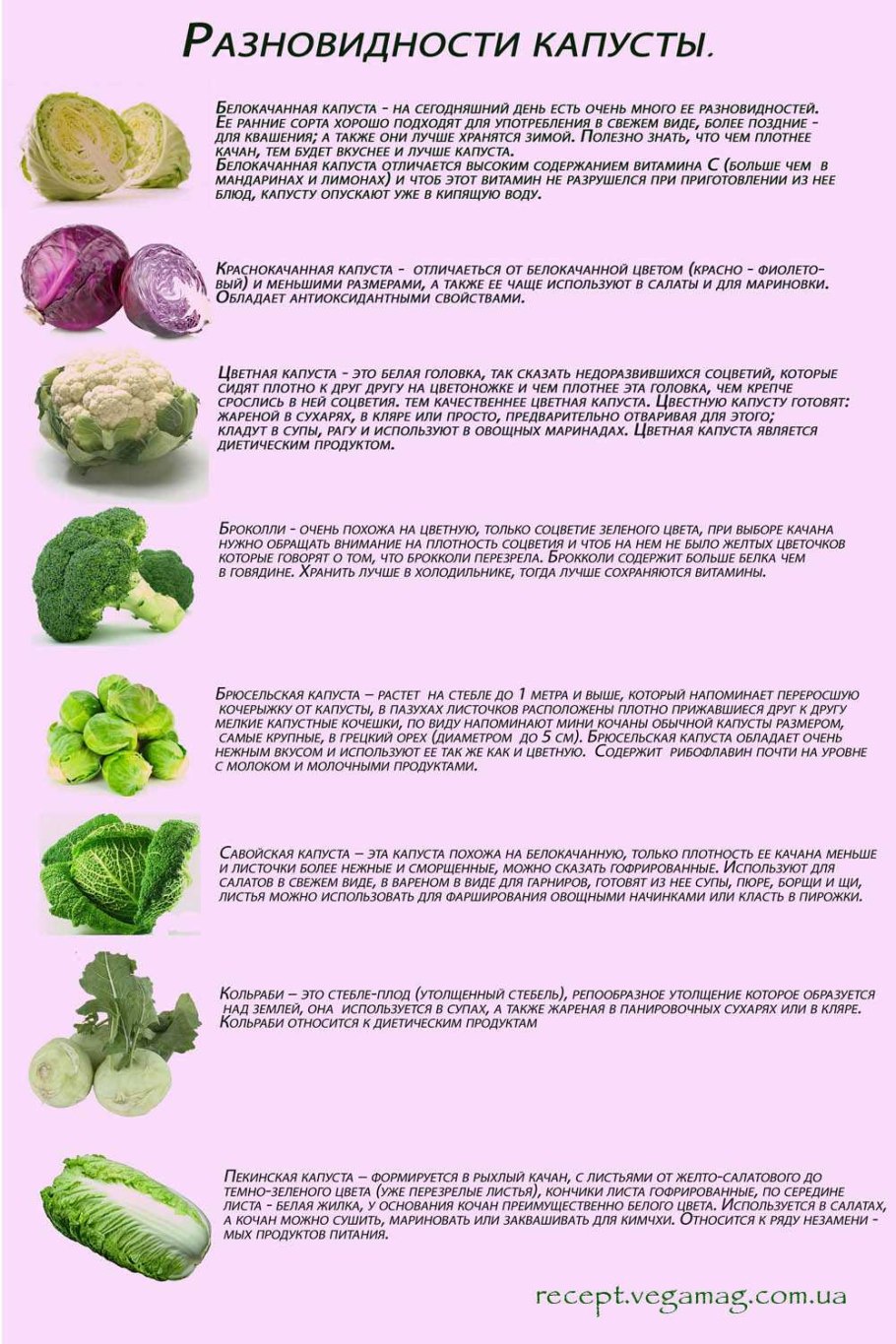 БАДЫ из брокколи