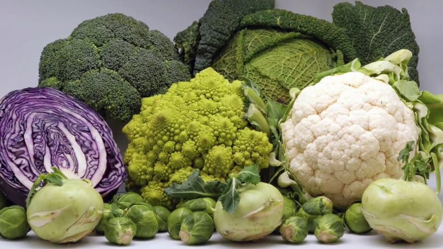 Сульфорафан в продуктах питания