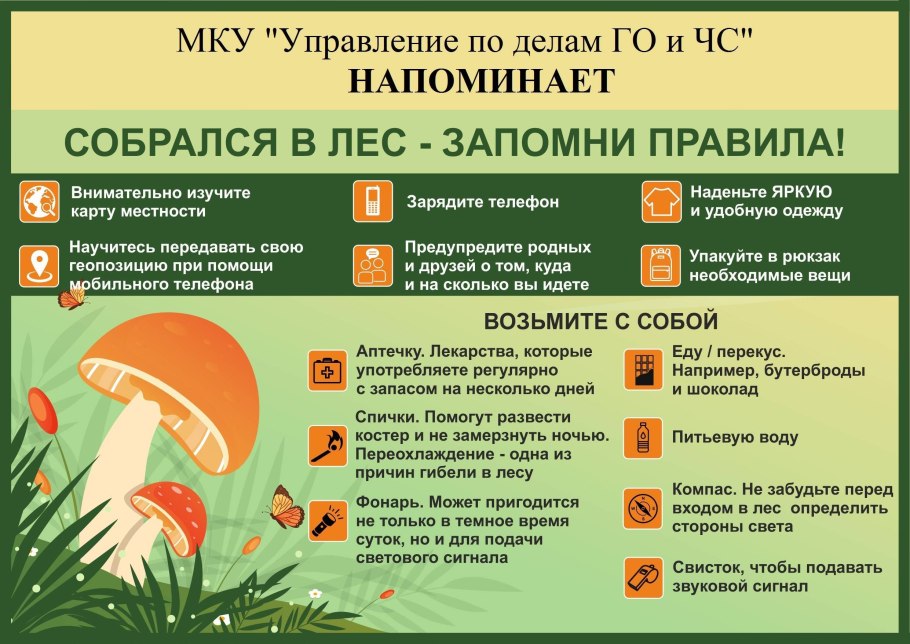Опята Лесные пеньковые