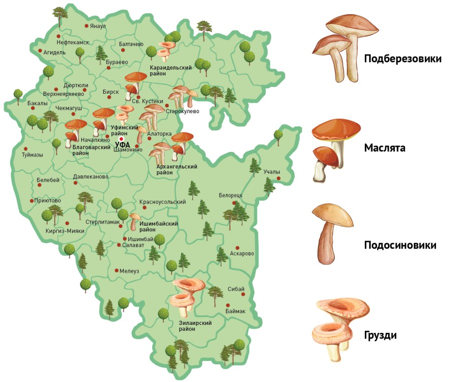 Лукошко Муром