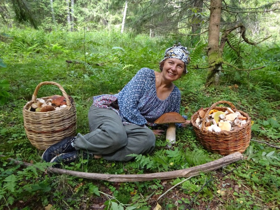 Малина Арктическая Княженика