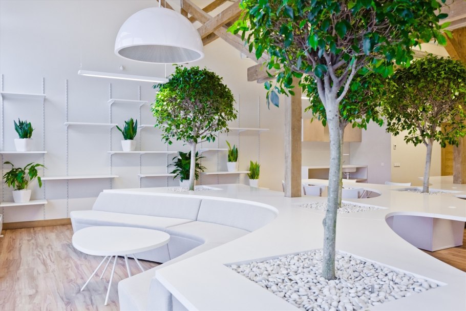 Green Sun фитостены