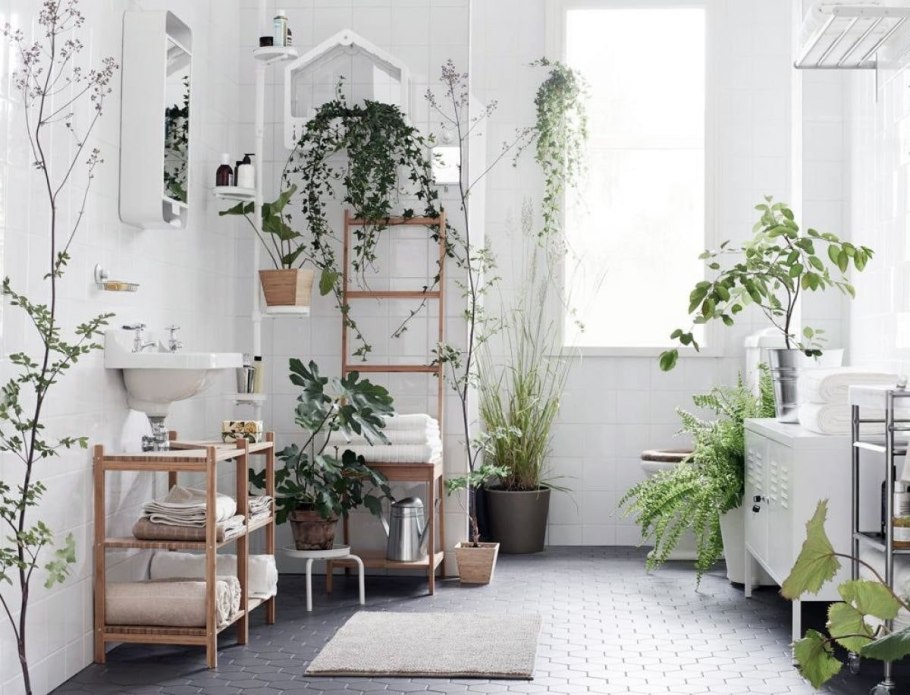 Цветы в интерьере