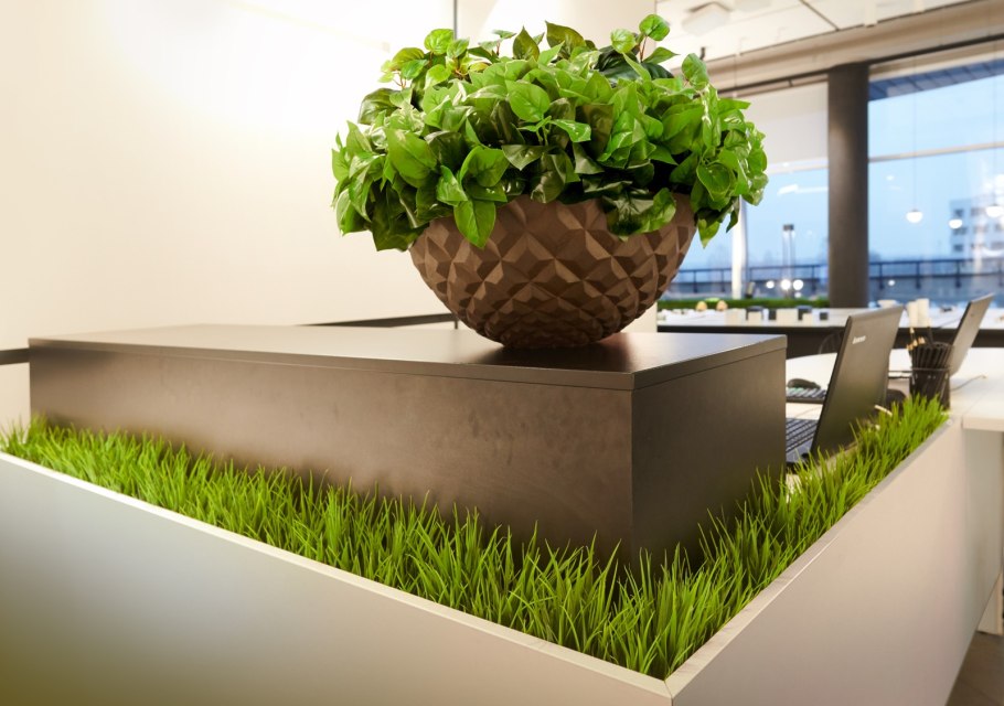 Комнатные цветы в интерьере