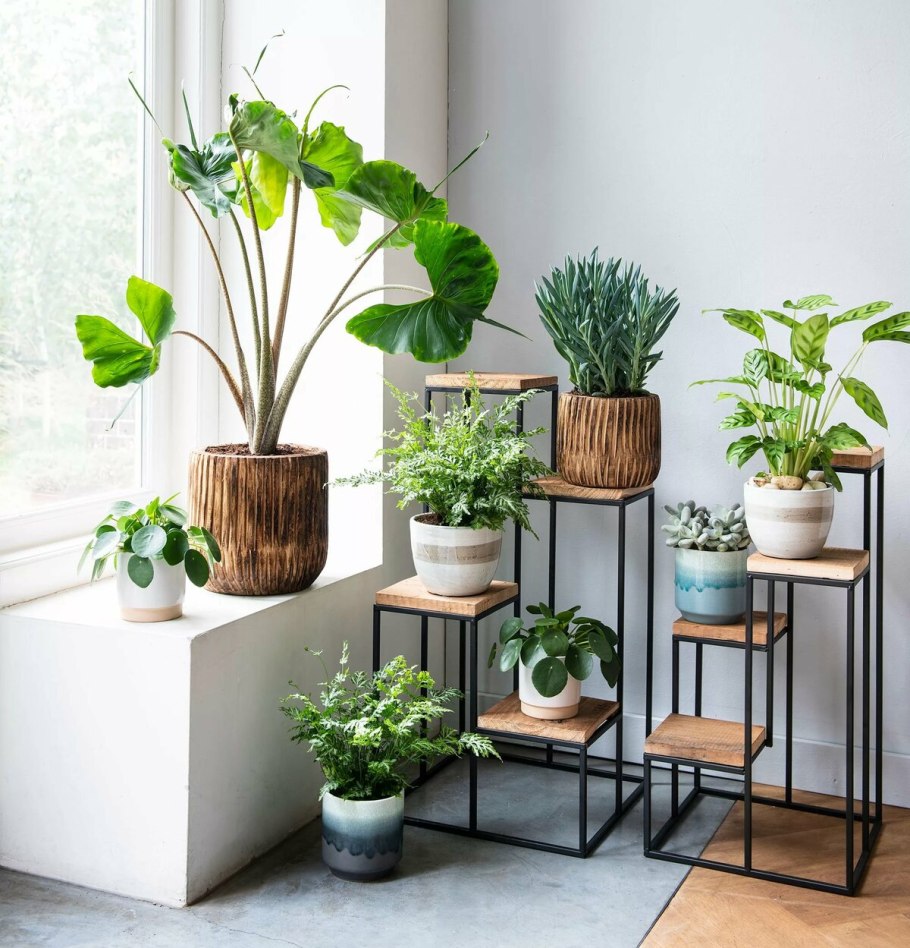 Кашпо для сада