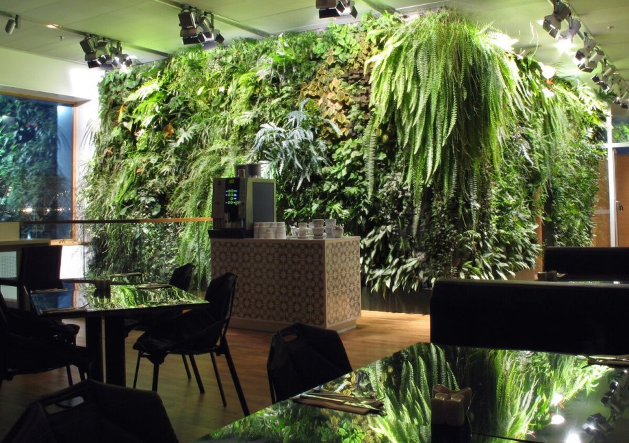 Green Sun фитостены