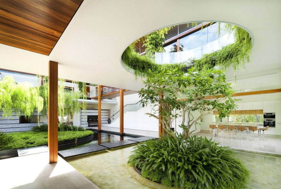 Сансевиерия спатифиллум