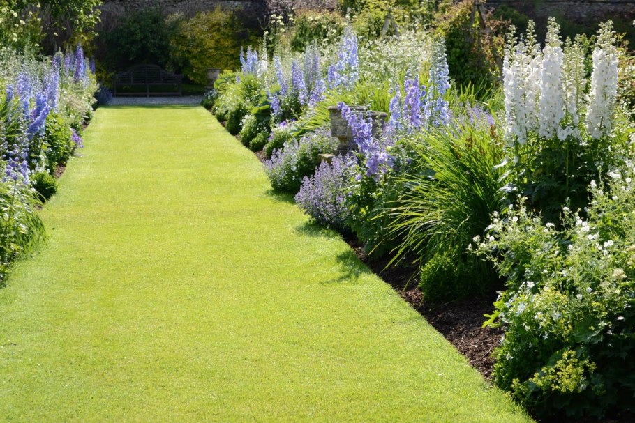 Гортензия и дельфиниум в клумбе