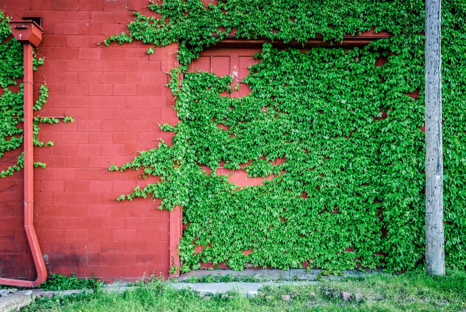 Пергола Берсо