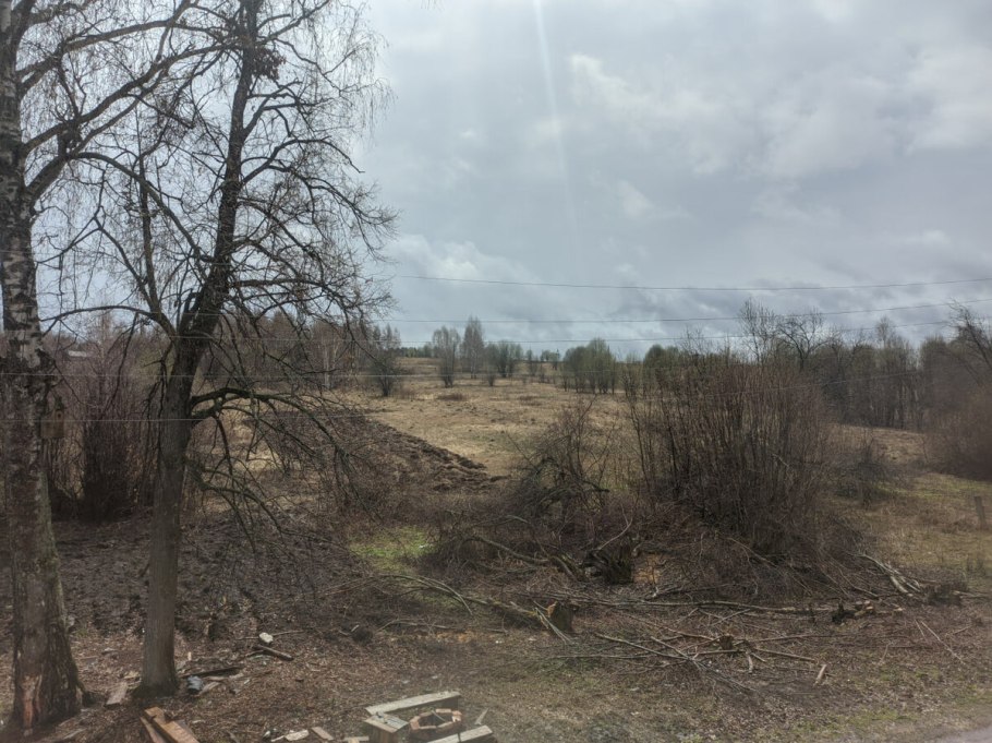 Девичий виноград Грефшейм