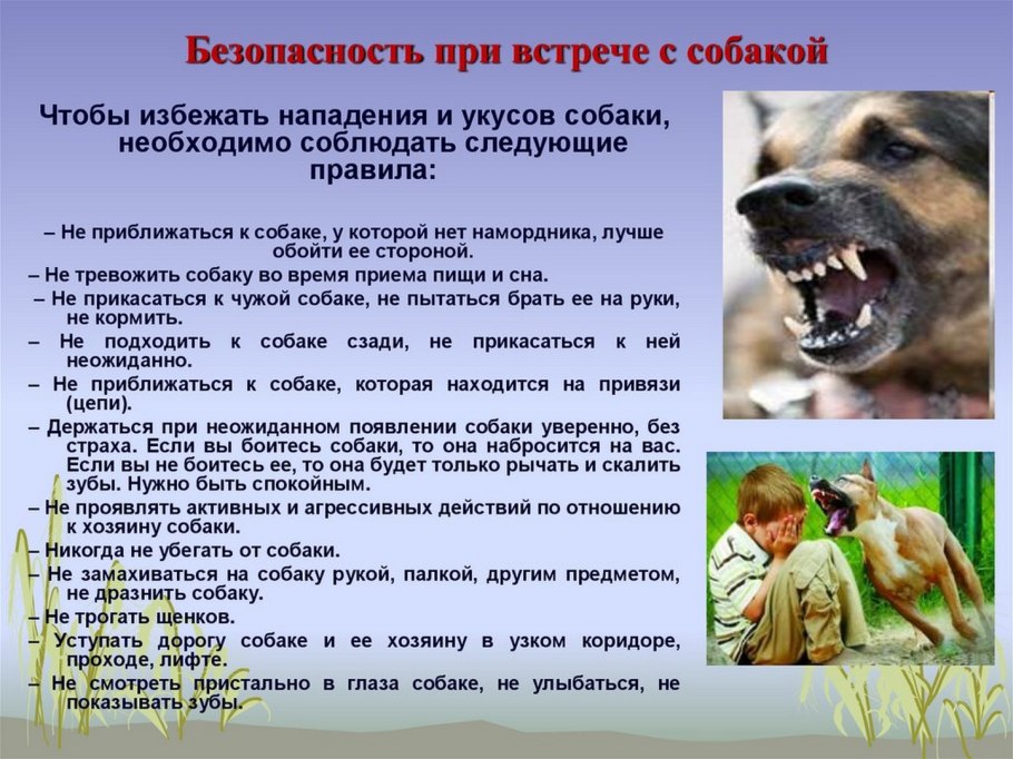 Пергола из стволов деревьев