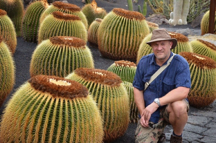 Эхинокактус grusonii