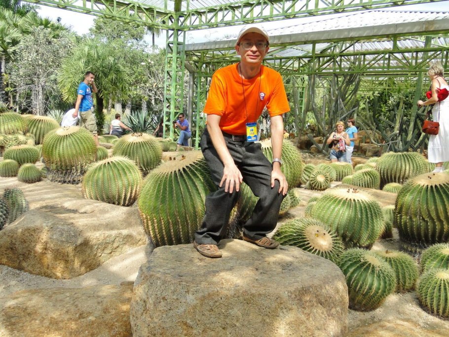 Кактус Тещин стул