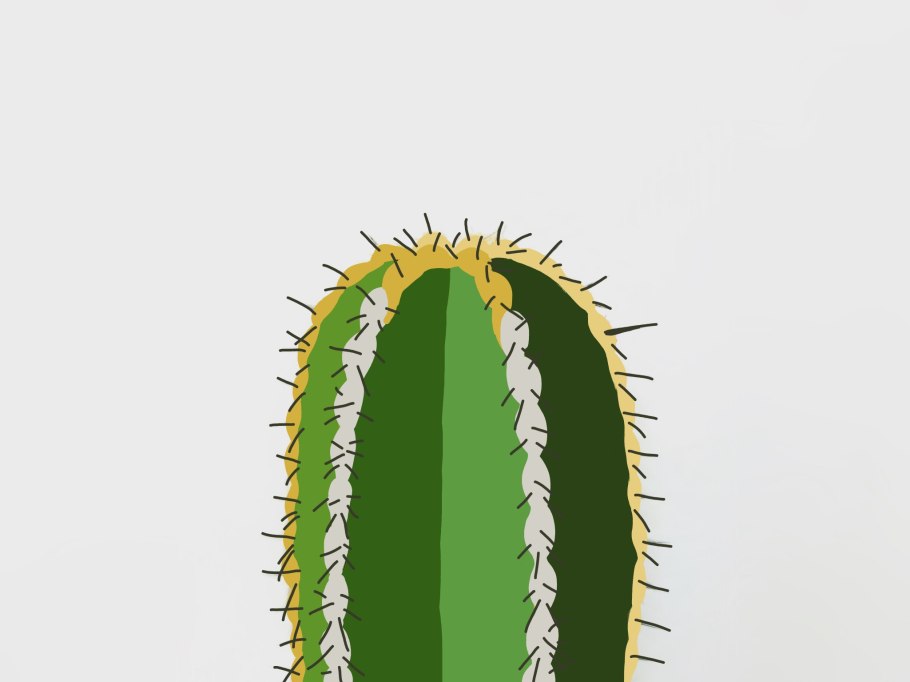 Флорариум с кактусами