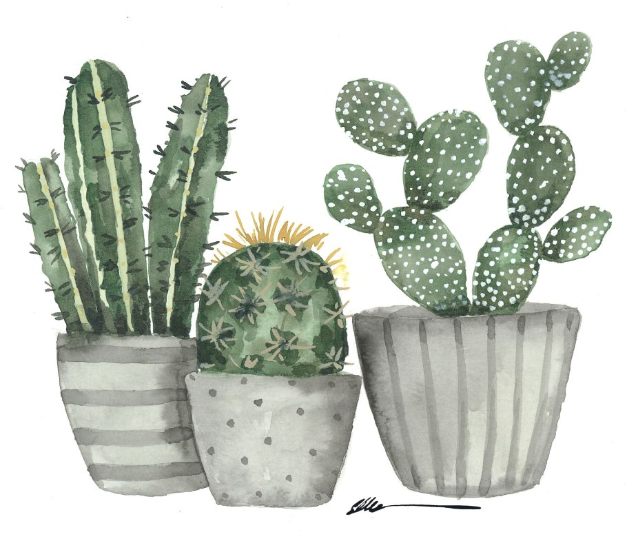 Кактус фаллический