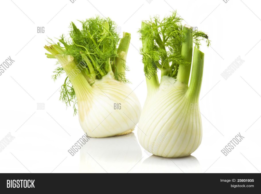 Фенхель датский Король