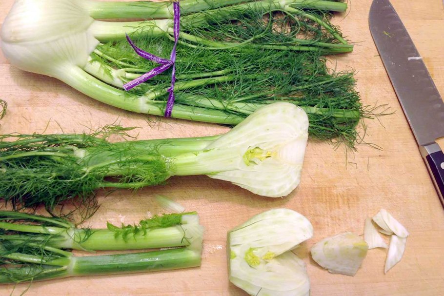 Fennel Florence
