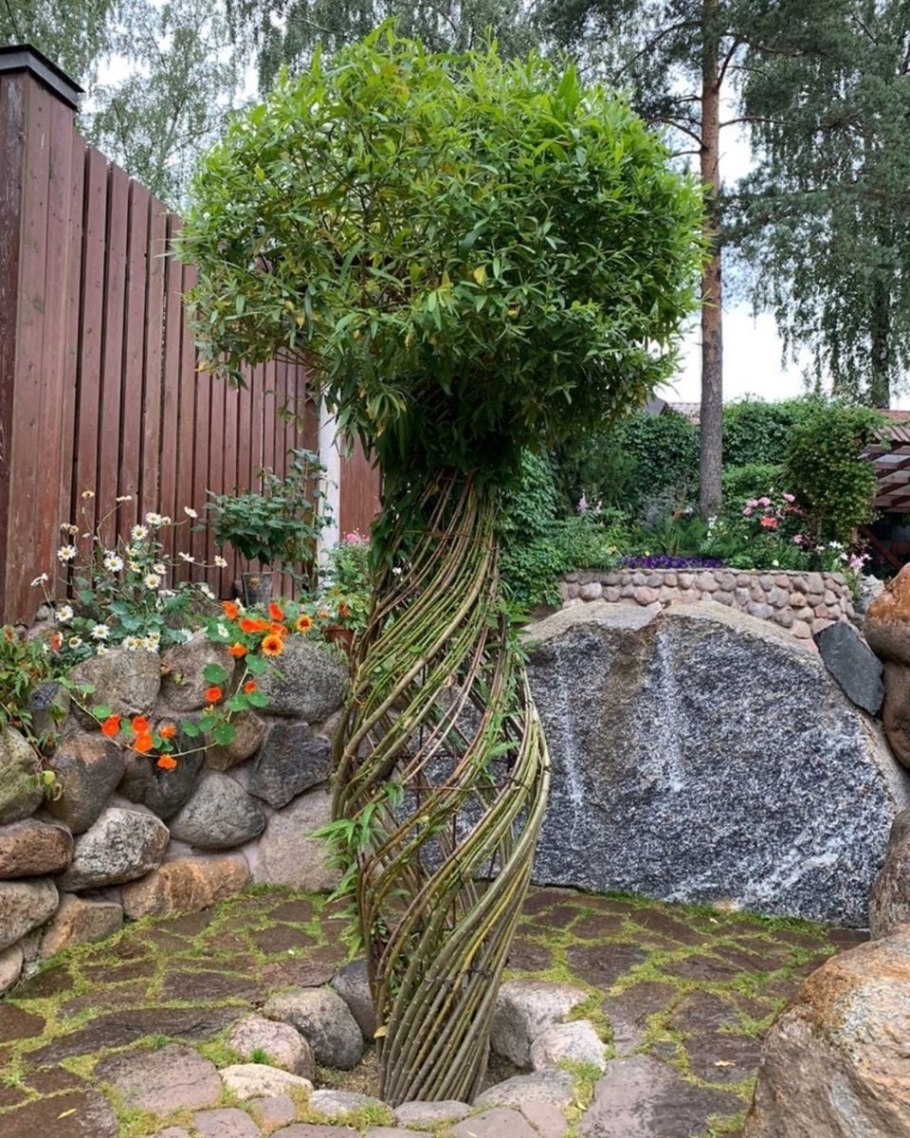 Плетеная Ива русская Пальма