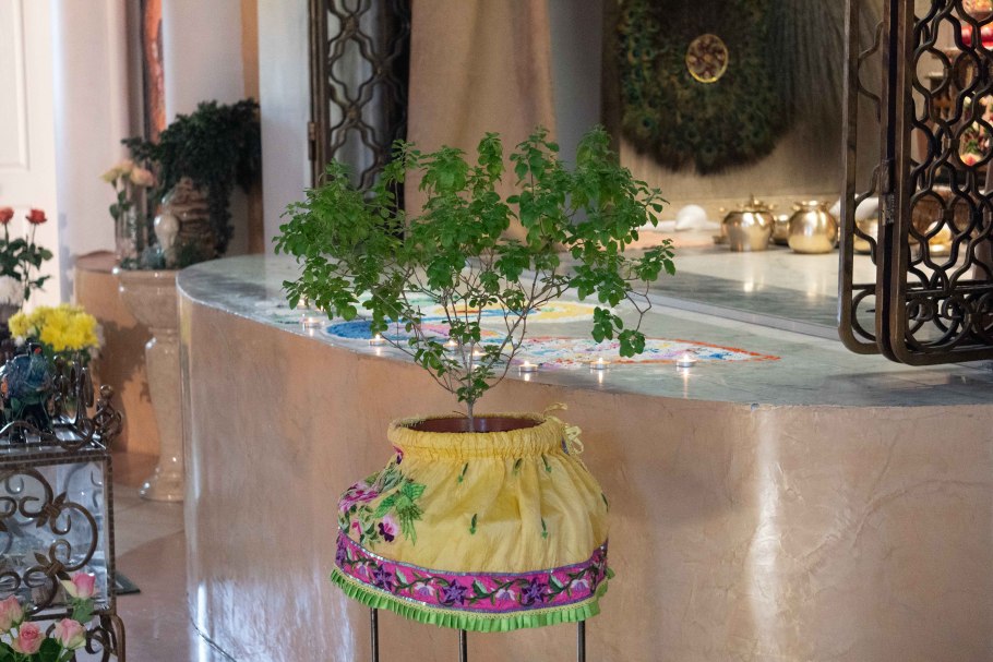 Туласи Махарани