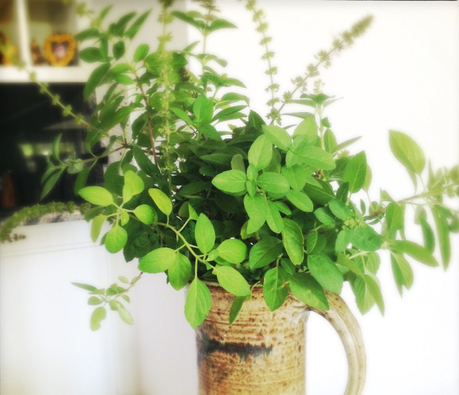 Росток Туласи