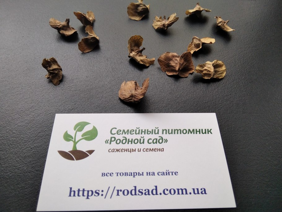 Брелок Mongoose LS 9000d