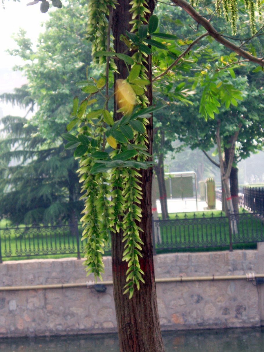 Радар-детектор Megaforcer z-11st