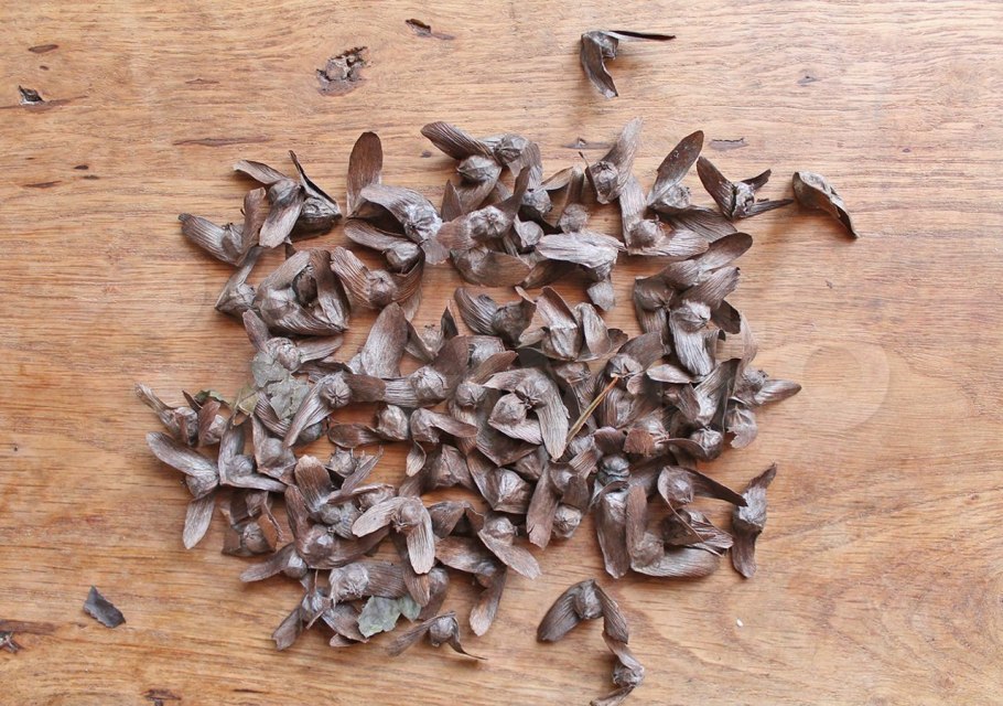 Наколенники волейбольные mt8, оранжевый