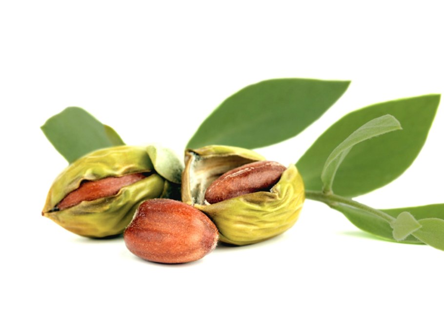 Simmondsia chinensis Oil