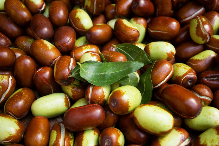 Растения Симмондсия жожоба