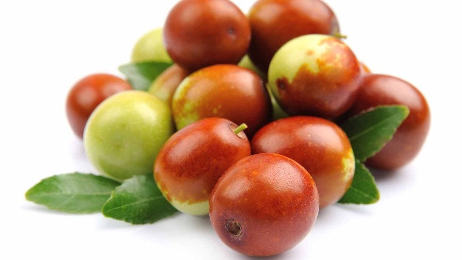 Жожоба фрукт картинки