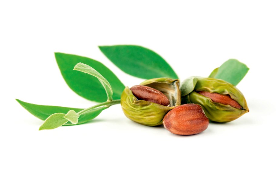 Аргана орех