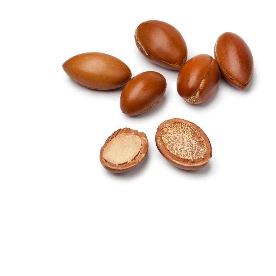 Дерево Аргания колючая