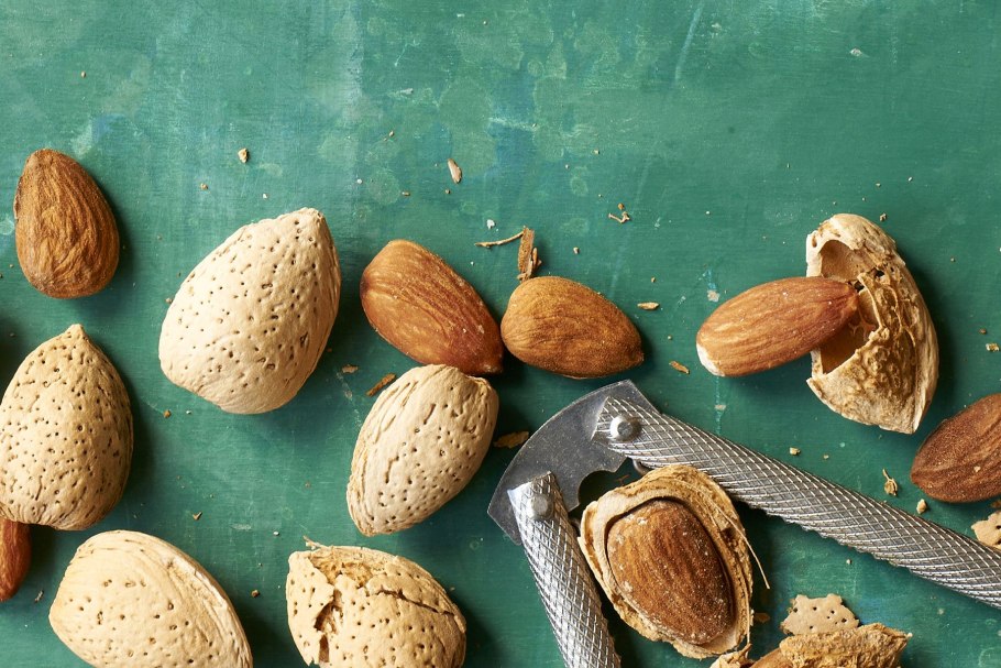 Миндаль косточка дерево