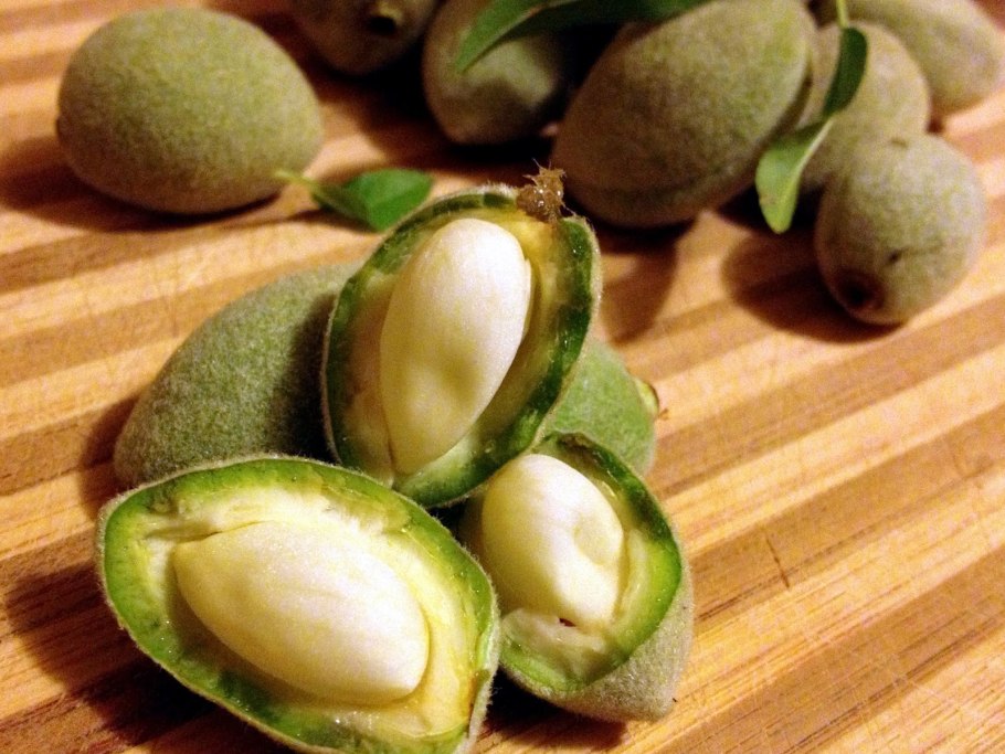 Миндаль (плод)