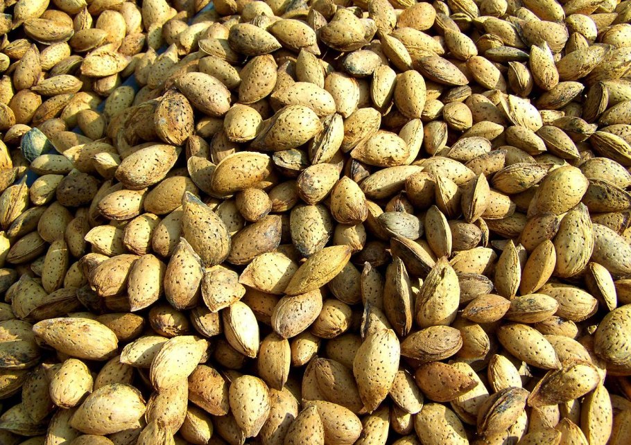 Большая семечка