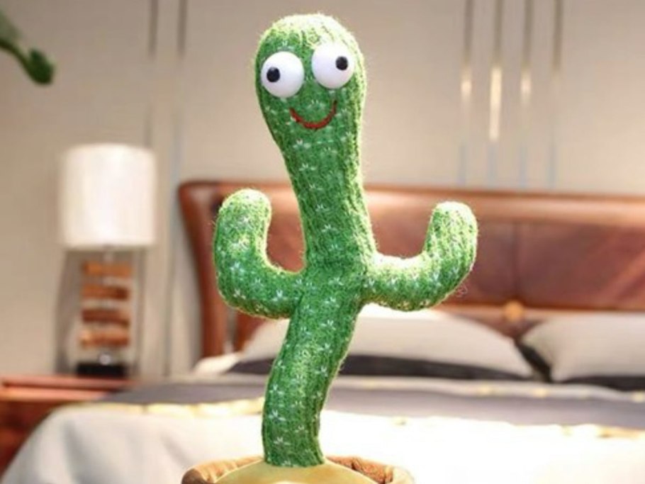 Lepismium monacanthum