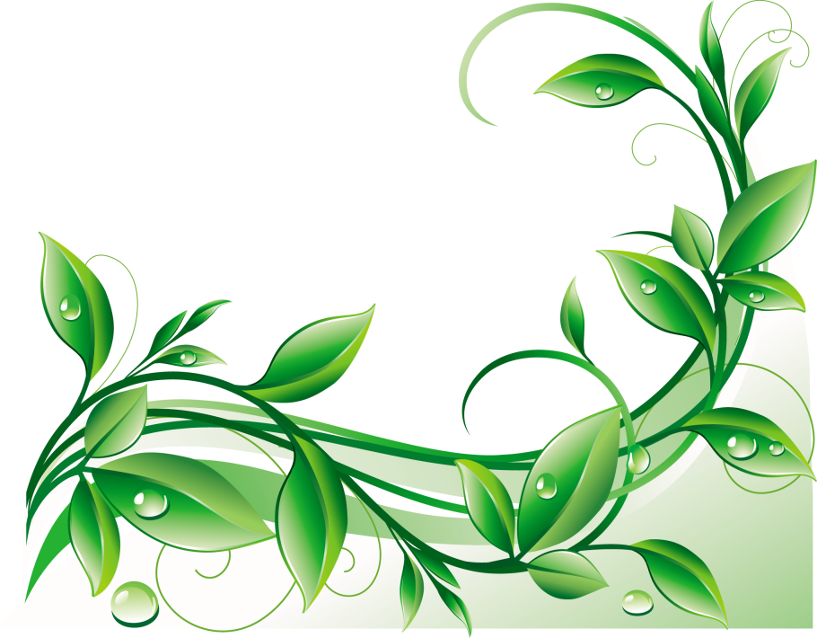 Зеленая веточка