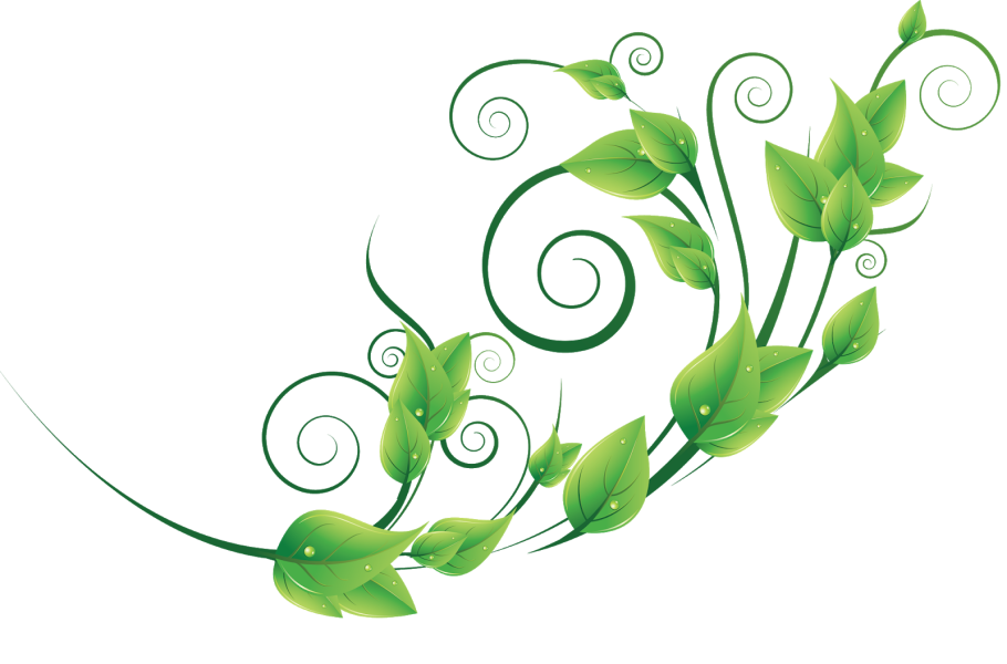 Красивый зеленый узор