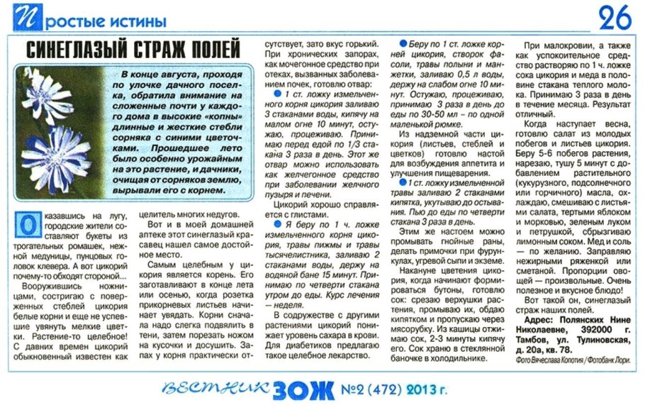 Цикорий, трава, 50г