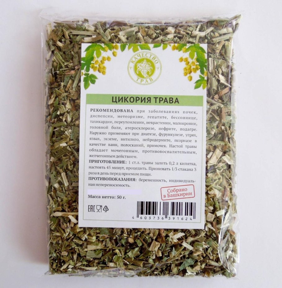 Цикорий обыкновенный соцветие