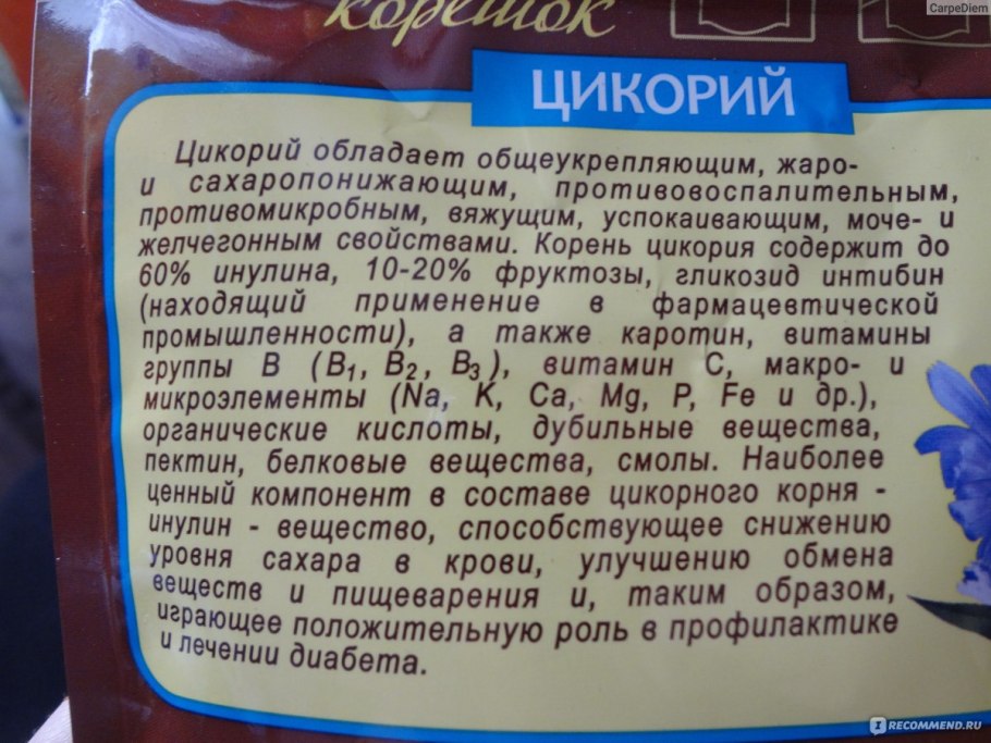 Цикорий обыкновенный