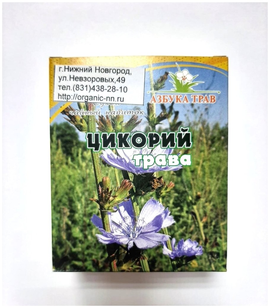 Цикорий обыкновенный сорные растения