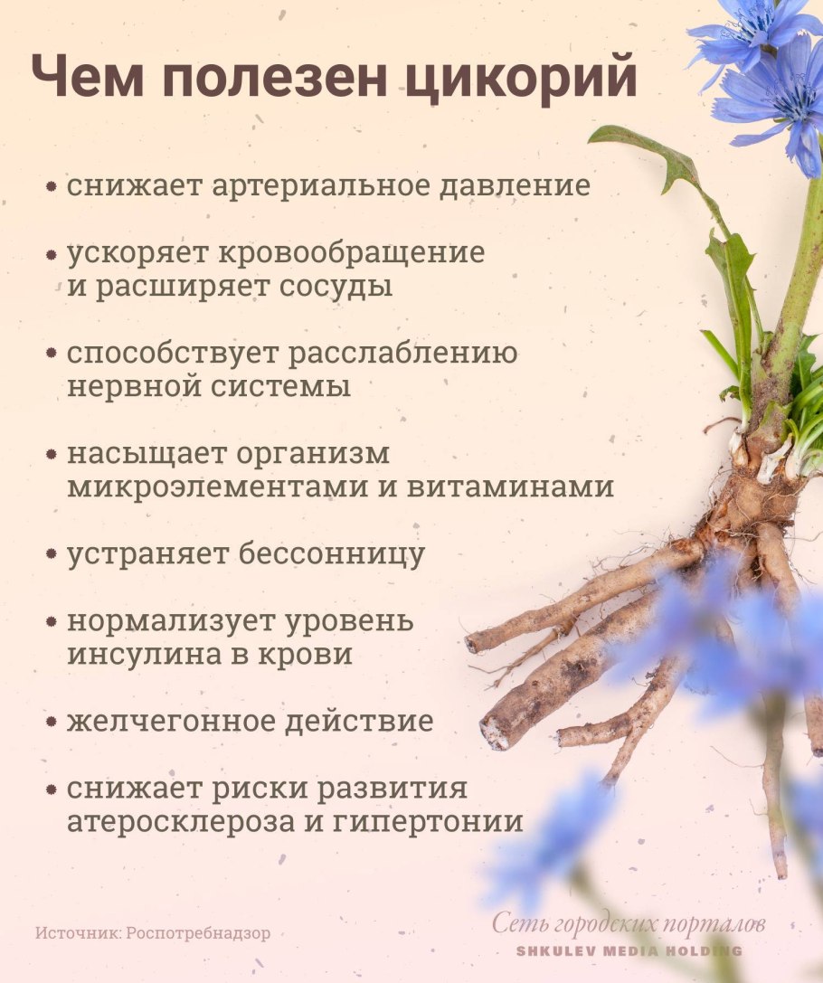 Natural цикорий 130 г