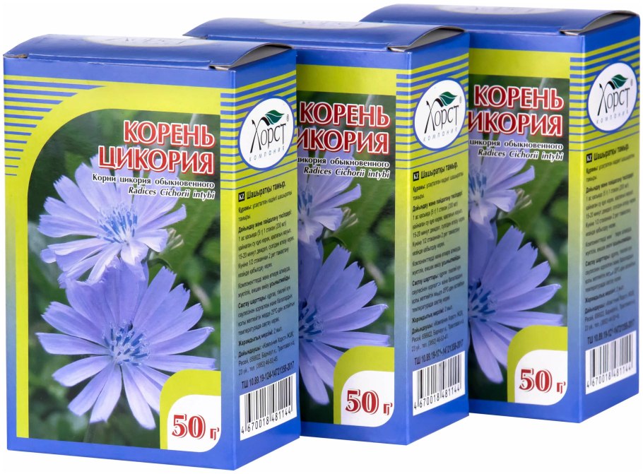 Корень цикория аптека